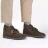 Herre Desert Boot Evo mørkebrun ruskind Chukka